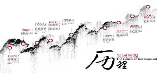發(fā)展歷程